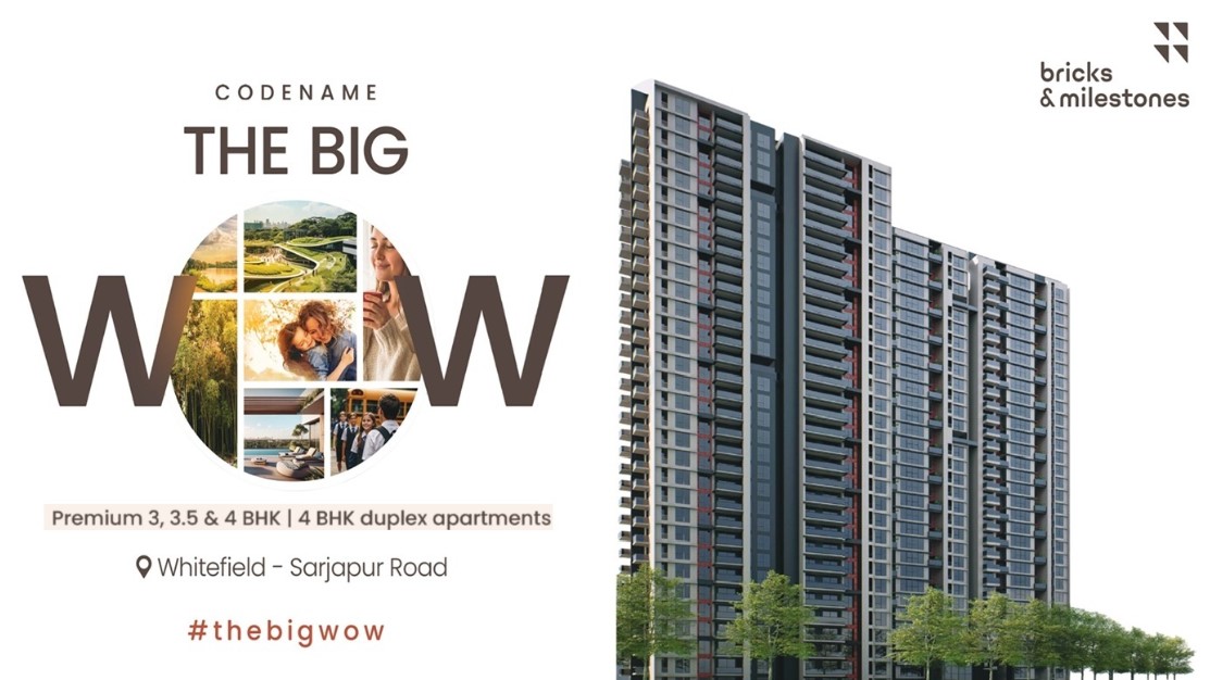 Big Wow Development